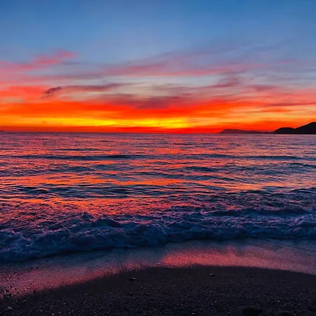 Mistral T3 Pour 4 Personnes Proche De La Capte Apartamento Hyères