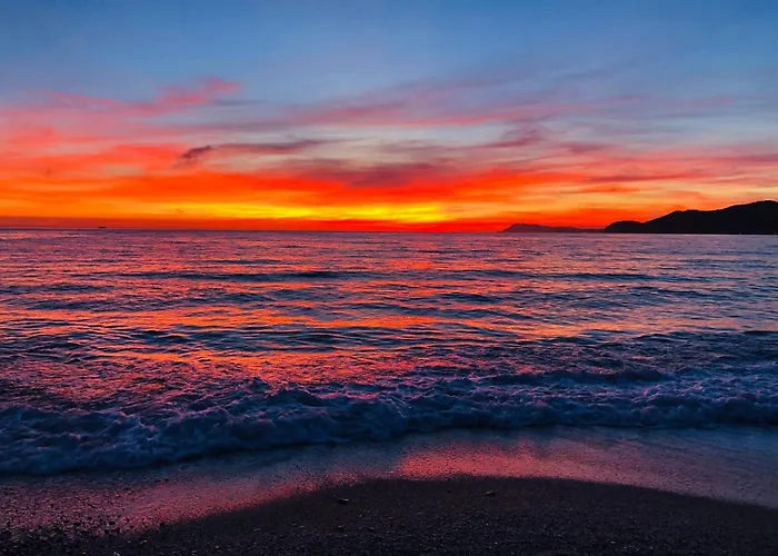 Mistral T3 Pour 4 Personnes Proche De La Capte Lejlighed Hyères